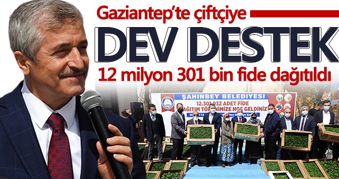 İlçe belediyesi İstanbul Büyükşehir Belediyesi'ne meydan okudu