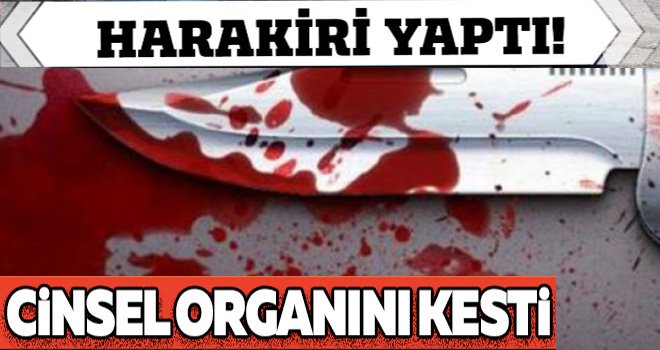 İnanılmaz olay: Cinsel organını kesti