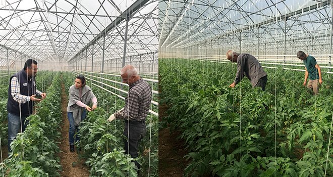 İslahiye MYO'da “Uygulamalı Sera Eğitim Projesi” 