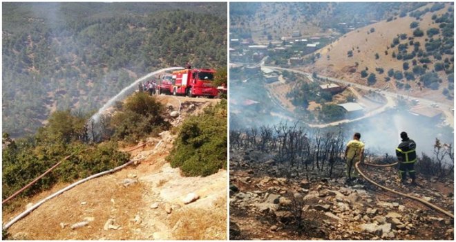 İslahiye'de meşelik alanda çıkan yangın korkuttu