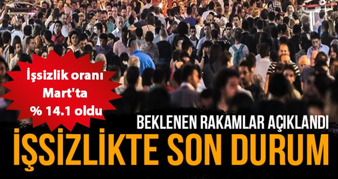 İşsizlik oranı %14,1 seviyesinde
