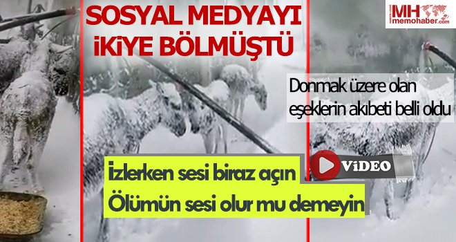 izlerken sesi biraz açın! Ölümün sesi olur mu demeyin...