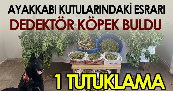 Jandarma 18 kilo 500 gram esrar ele geçirildi 