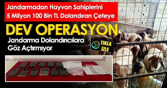 Jandarmadan Dolandırıcılara Dev Operasyon