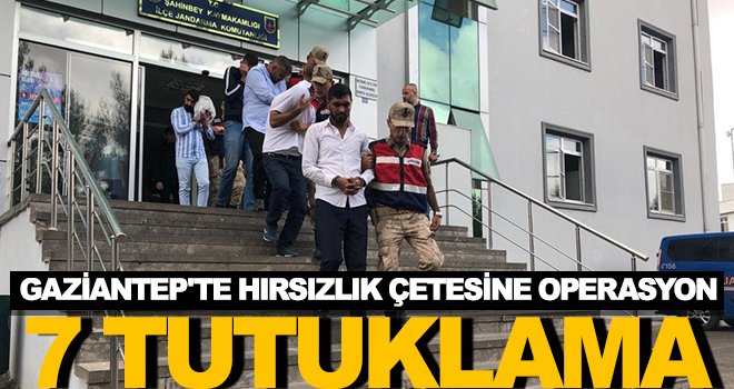 Jandarmadan hırsızlık çetesine operasyon: 7 tutuklama 