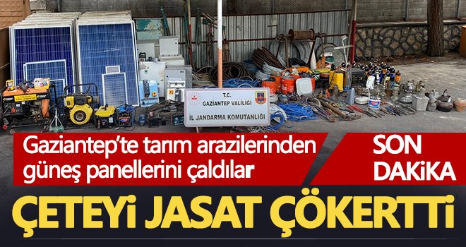 Jandarma’dan hırsızlık şebekesine eş zamanlı operasyon