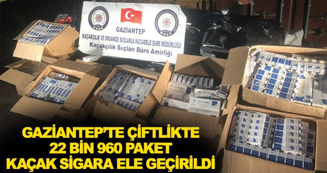 Kaçak sigara operasyonu: 1 gözaltı