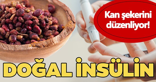 Kan şekerini düzenliyor! Doğal insülin...