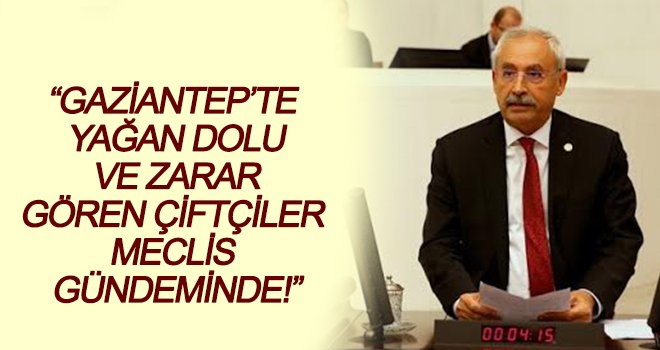 Kaplan, çiftçilerin sorunlarını Meclis’e taşıdı