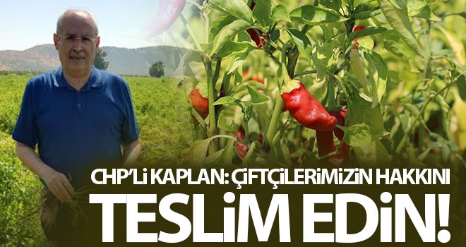 Kaplan: Dışa bağımlı tarımın sonu sefalettir