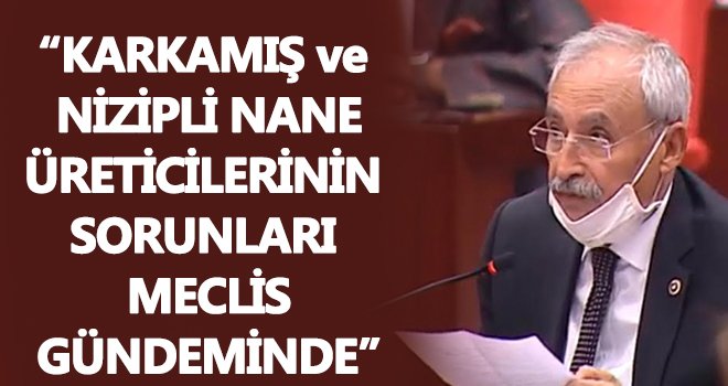 Kaplan, nane ve nane üreticilerinin sorunlarını Meclis’e taşıdı