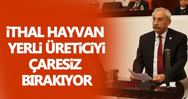 Kaplan: Yem sütten daha pahalı; süt maliyetini karşılamıyor