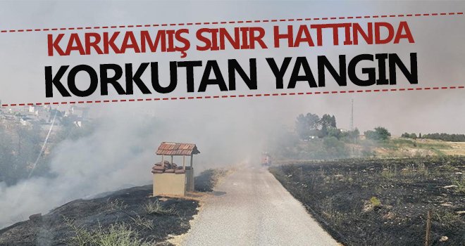 Karkamış sınır hattında yangın