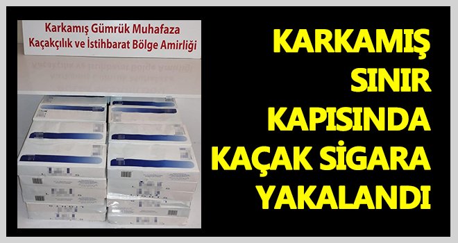 Karkamış sınır kapısında kaçak sigara yakalandı
