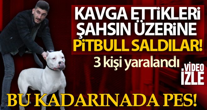 Kavga ettikleri şahsın üzerine pitbull saldılar: 3 yaralı