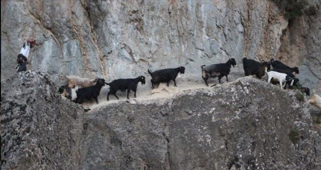 Kayalıklarda mahsur kaldılar