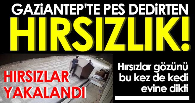 Kedi evini çalan hırsızlar yakalandı!