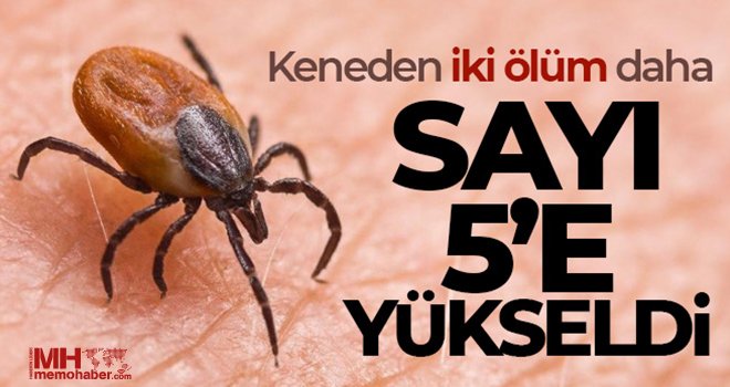 Keneden iki ölüm daha, sayı 5'e yükseldi