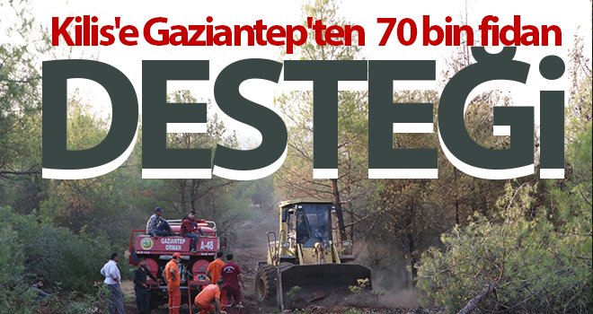 Kilis'e Gaziantep'ten 70 bin fidan desteği