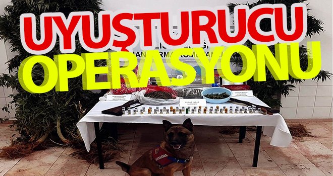 Kilis’te uyuşturucu operasyonu