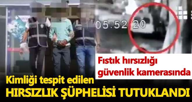 Kimliği tespit edilen hırsızlık şüphelisi tutuklandı
