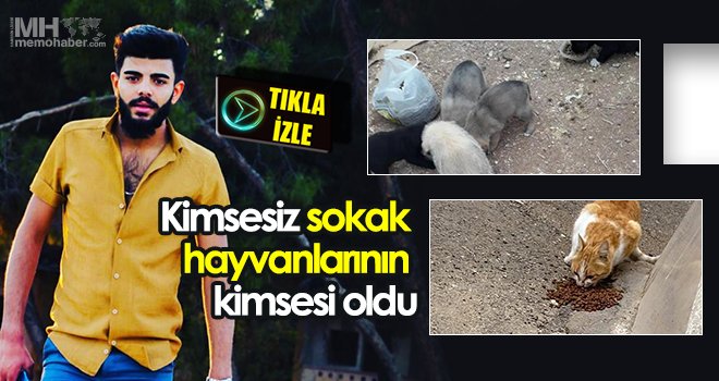 Kimsesiz sokak hayvanlarının kimsesi oldu