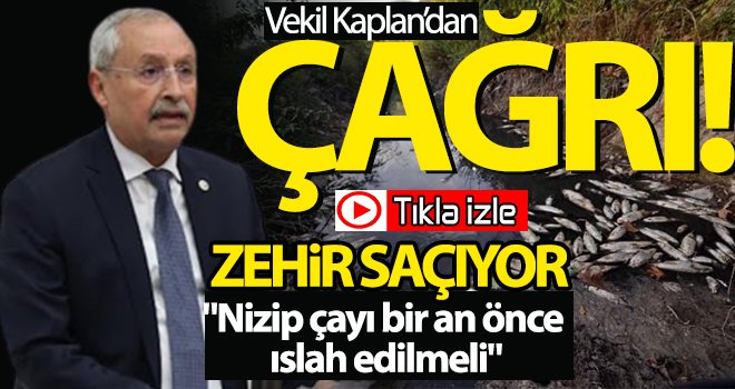 Kirliliği önlenemeyen Nizip çayı meclis gündeminde!