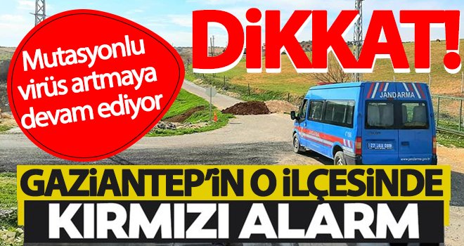 Kırmızı alarm! Mutasyonlu virüs artmaya devam ediyor