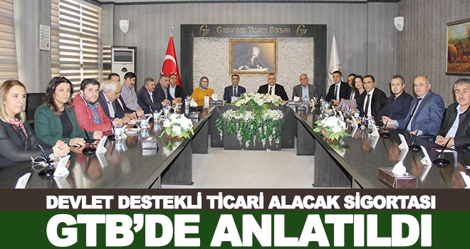 KOBİ’lere yönelik devlet destekli ticari alacak sigortası sistemi