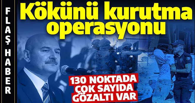 Kökünü Kurutma Operasyonu: 130 gözaltı