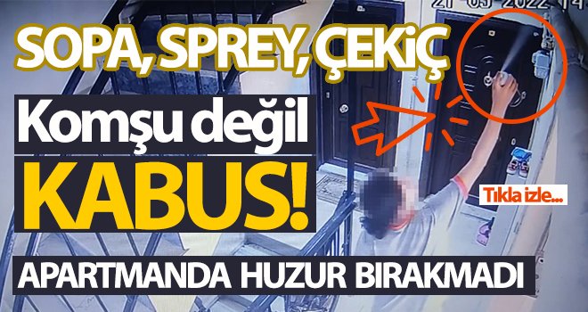 Komşularının kabusu olan kadın apartmanda huzur bırakmadı