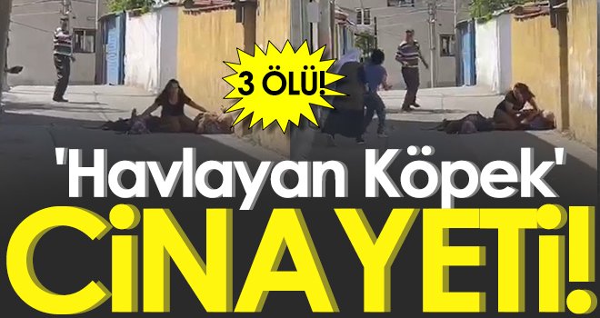 Köpek nedeniyle tartıştığı akrabalarına kurşun yağdırdı