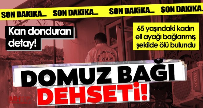 Korkunç cinayet! 65 yaşındaki kadın eli ayağı bağlanmış şekilde ölü bulundu