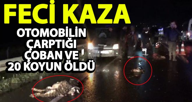 Korkunç kazada hem canından hemde koyunlarından oldu!