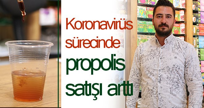 Korona virüs sürecinde propolis satışı arttı