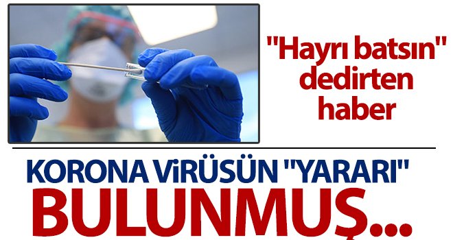 Korona virüsün "yararı" bulunmuş...