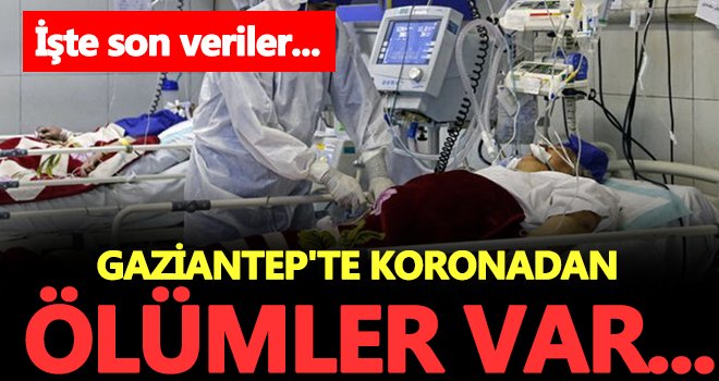 Koronavirüs Gaziantep'te kol geziyor! Ölü sayısı artıyor