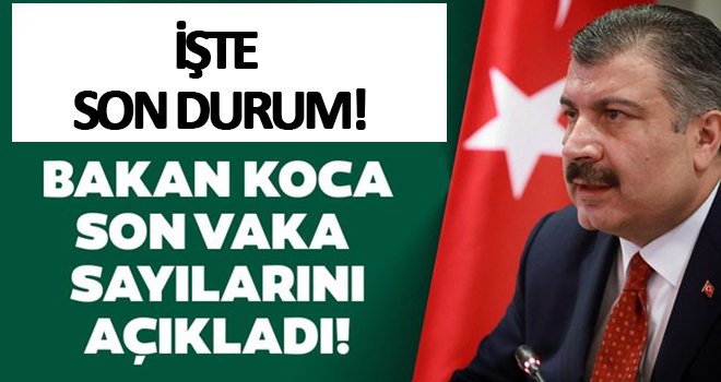 Koronavirüsten can kaybı 4 bin 540'a yükseldi
