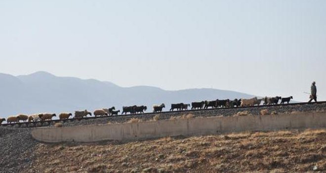 Kullanılmayan demir yolu sürülerin geçiş güzergahı
