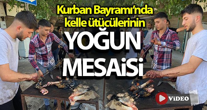 Kurban Bayramı’nda kelle ütücülerinin yoğun mesaisi
