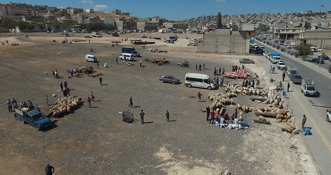 Kurban satış ve kesim yerleri belirlendi