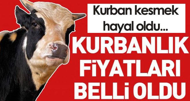 Kurbanlık fiyatları belli oldu