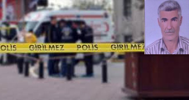 Kuş kavgası 2 yaralı