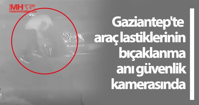 Lastikleri bıçakladığı belirlenen 2 çocuk hakkında yasal işlem başlatıldı