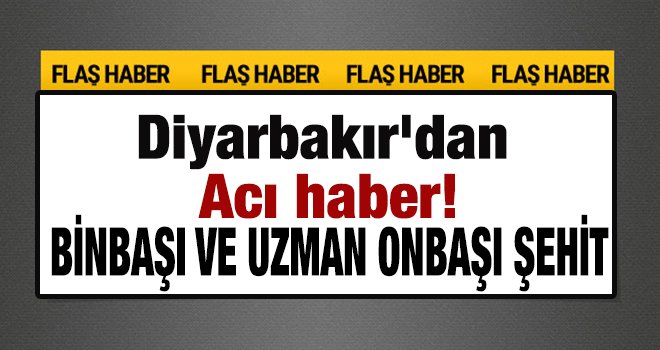 Lice'de PKK'dan bombalı tuzak: 2 asker şehit
