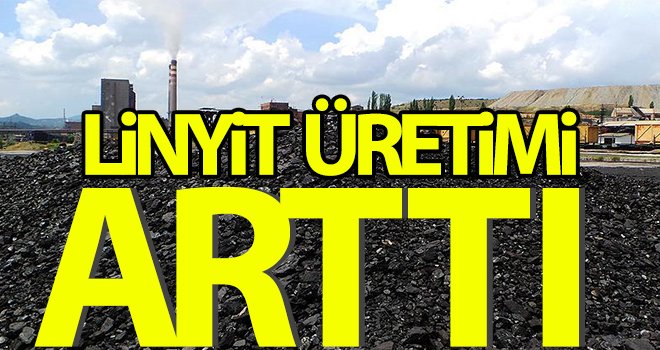 Linyit üretimi arttı
