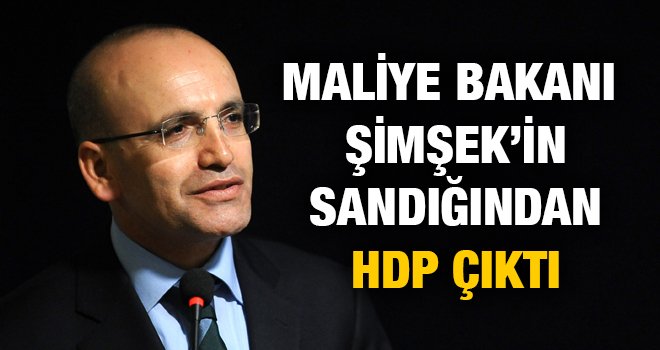 Maliye Bakanı Şimşek'in sandığından HDP çıktı