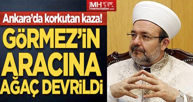 Mehmet Görmez ucuz atlattı: Üzerine ağaç devrildi
