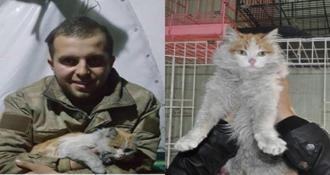 Mehmetçiğin El Bab'da bulduğu 'Barış' adlı kedi Gaziantep'te