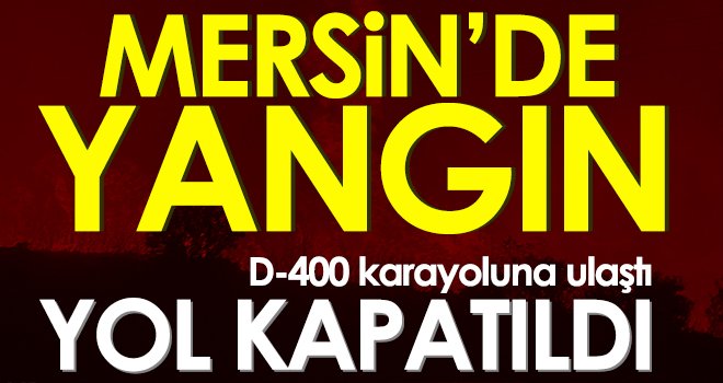 Mersin’deki orman yangını D-400 karayoluna ulaştı, yol kapatıldı